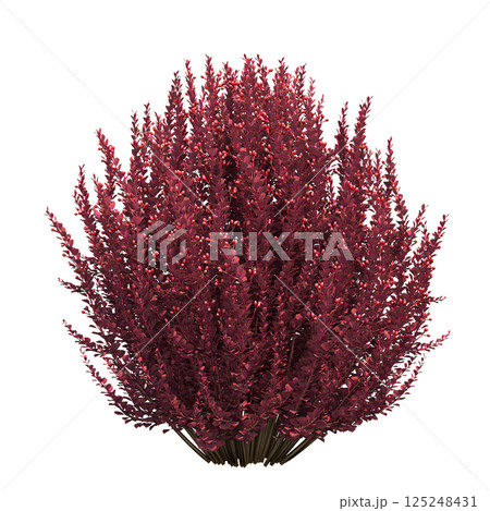 big tree, isolate on a transparent background, 3d illustration 125248431