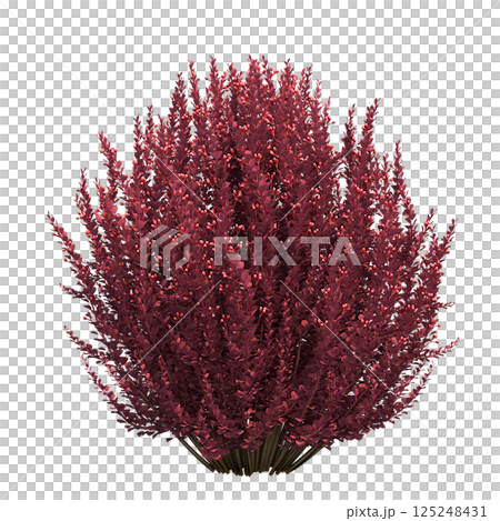 big tree, isolate on a transparent background, 3d illustration 125248431