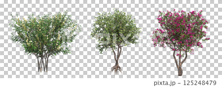 big tree, isolate on a transparent background, 3d illustration 125248479