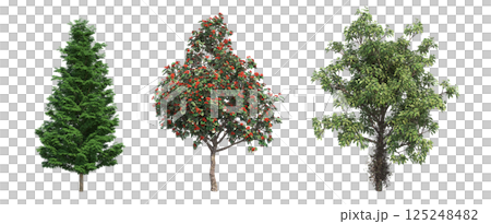 big tree, isolate on a transparent background, 3d illustration big tree, isolate on a transparent background, 3d illustration 125248482