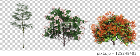 big tree, isolate on a transparent background, 3d illustration 125248483