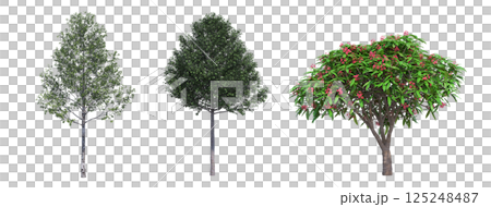 big tree, isolate on a transparent background, 3d illustration 125248487