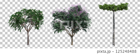 big tree, isolate on a transparent background, 3d illustration big tree, isolate on a transparent background, 3d illustration 125248488