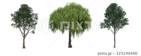 big tree, isolate on a transparent background, 3d illustration big tree, isolate on a transparent background, 3d illustration 125248490