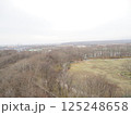 北海道苫小牧市の緑ケ丘公園展望台から見た苫小牧市 125248658