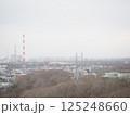 北海道苫小牧市の緑ケ丘公園展望台から見た苫小牧市 125248660
