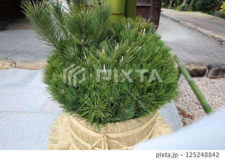縁起物の門松 125248842