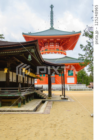 世界遺産高野山 根本大塔と御影堂 壇上伽藍 和歌山県 世界遺産高野山 根本大塔と御影堂 壇上伽藍 和歌山県 125248965