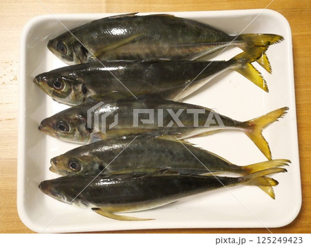 鯵が釣れました 鯵が釣れました 125249423