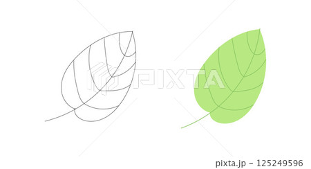 Single green leaf icon in outline and full color, great for ecology, botanical illustrations, environmental projects, nature logos, and garden graphics Single green leaf icon in outline and full color, great for ecology, botanical illustrations, environmental projects, nature logos, and garden graphics 125249596