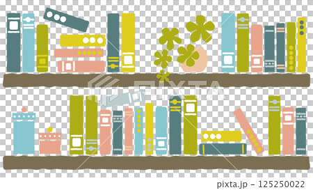 たくさんの本が並んだ本棚｜植物と小物入れ 125250022