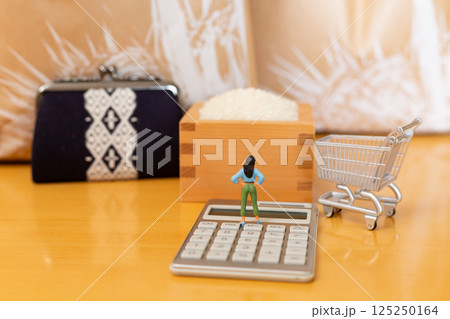 米価 お米の価格 家計のイメージ、枡に入ったお米と米袋の前に立つミニチュアの女性 米価 お米の価格 家計のイメージ、枡に入ったお米と米袋の前に立つミニチュアの女性 125250164