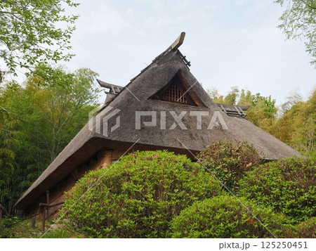 茅葺屋根のある風景 茅葺屋根のある風景 125250451