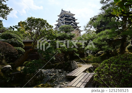 福寿会館の庭園から望む福山城(福山公園) 福寿会館の庭園から望む福山城(福山公園) 125250525