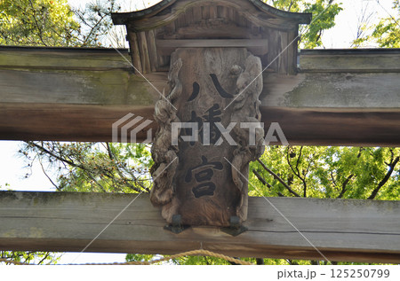 千葉県市原市八幡のパワースポット 飯香岡八幡宮 千葉県市原市八幡のパワースポット 飯香岡八幡宮 125250799