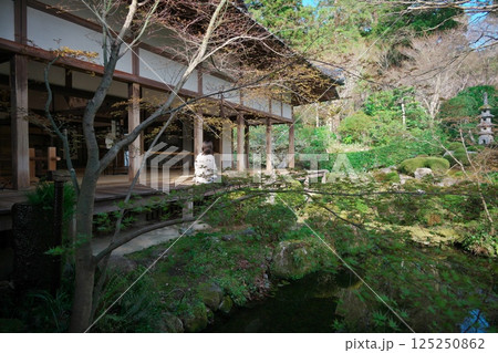 春の三千院庭園(京都市左京区大原) 春の三千院庭園(京都市左京区大原) 125250862