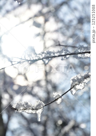 阿賀町の雪景色(新潟県) 阿賀町の雪景色(新潟県) 125251088