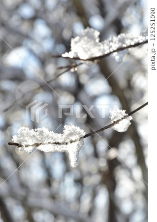 阿賀町の雪景色（新潟県） 125251090