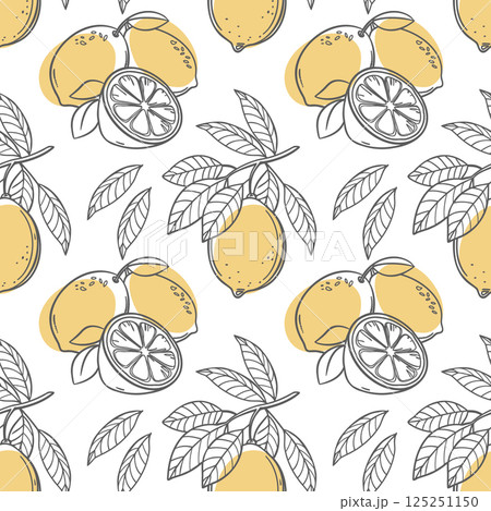 Lemon seamless pattern. Hand drawn outline citrus fruits on a white background. Illustration. Lemon seamless pattern. Hand drawn outline citrus fruits on a white background. Illustration. 125251150