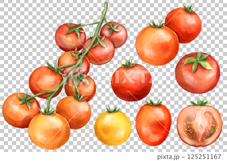 トマトのセットイラスト 125251167