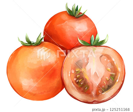 トマト 125251168