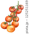 ミニトマトの房 125251169