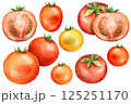 トマトのセットイラスト 125251170