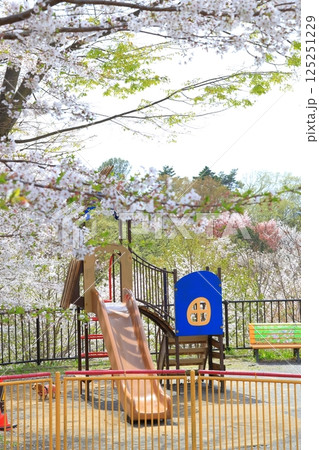 都立桜ヶ丘公園の桜 125251229