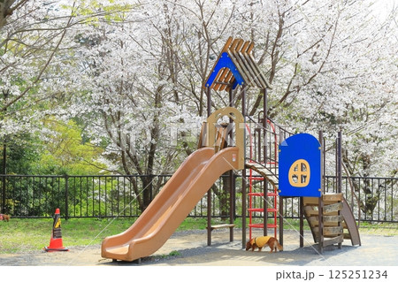 都立桜ヶ丘公園の桜 125251234