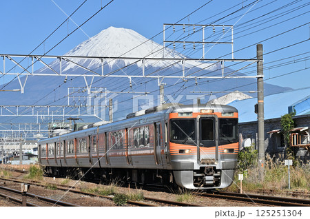 東海道線　313系8000番台　富士山 125251304