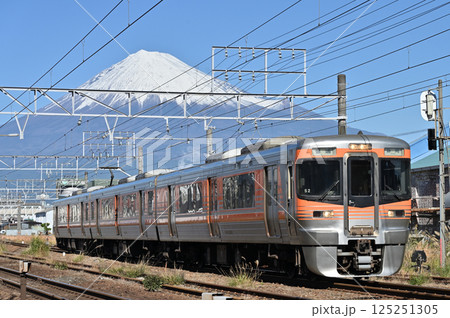 東海道線 313系8000番台 富士山 東海道線 313系8000番台 富士山 125251305