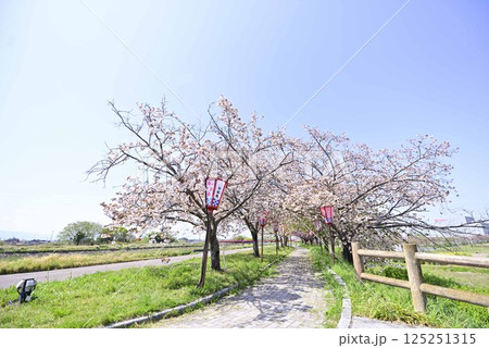 稲沢桜ネックレス 稲沢桜ネックレス 125251315