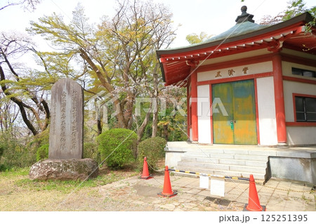 桜ヶ丘公園　旧多摩聖蹟記念館 125251395