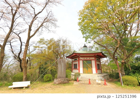 桜ヶ丘公園 旧多摩聖蹟記念館 桜ヶ丘公園 旧多摩聖蹟記念館 125251396