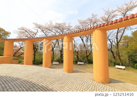 桜ヶ丘公園 旧多摩聖蹟記念館 桜ヶ丘公園 旧多摩聖蹟記念館 125251410