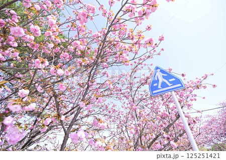 稲沢桜ネックレス 125251421