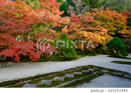 天授庵の紅葉の庭 125251493