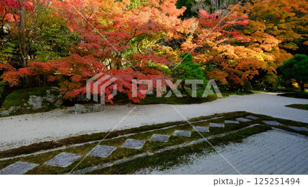 天授庵の紅葉の庭 天授庵の紅葉の庭 125251494