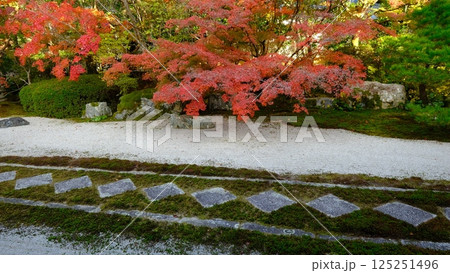 天授庵の紅葉の庭 天授庵の紅葉の庭 125251496