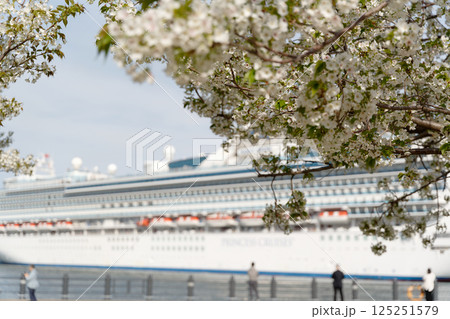 赤レンガパークの桜と、大桟橋に停泊する豪華客船ダイヤモンド・プリンセス 125251579