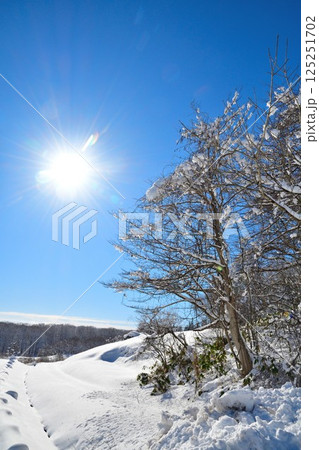 猪苗代の雪景色(福島県) 猪苗代の雪景色(福島県) 125251702