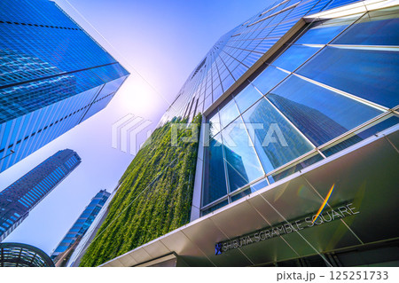 日本の東京都市景観 夏のような暑さ…渋谷スクランブルスクエアや窓ガラスに映る渋谷ストリームなどを望む 125251733