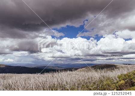 Boundary Hut Trail Lake Mountain Australia 125252045