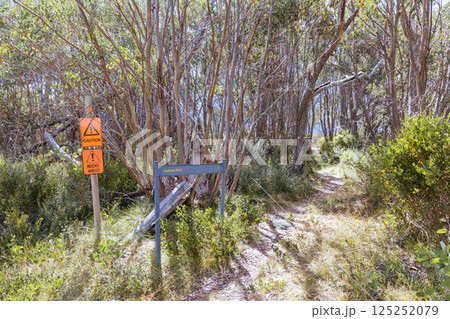 Lake Mountain in Summer in Australia Lake Mountain in Summer in Australia 125252079