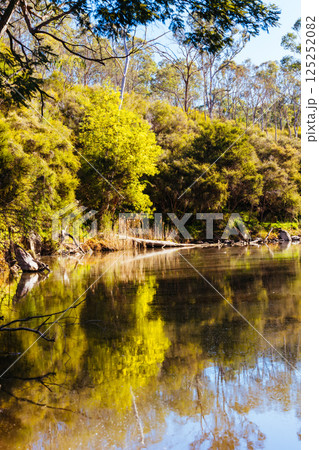 Blue Tongue Bend Walk in Warrandyte Melbourne Australia Blue Tongue Bend Walk in Warrandyte Melbourne Australia 125252082
