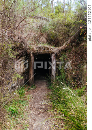 Warrandyte State Reserve Gold Memorial in Melbourne Australia 125252105