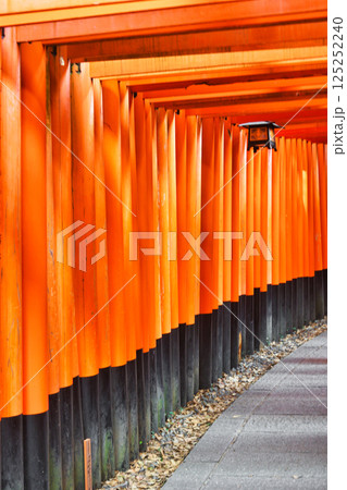 京都 伏見稲荷大社 千本鳥居(京都府京都市伏見区) 京都 伏見稲荷大社 千本鳥居(京都府京都市伏見区) 125252240