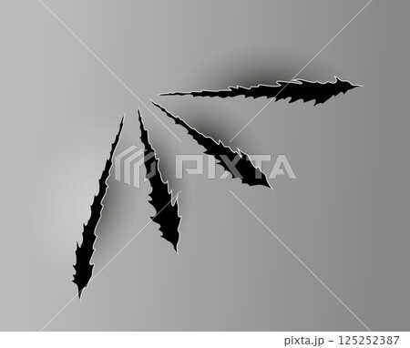 Bear or tiger claw mark. Scratches and torn traces of vector animal paw slashes. Hole in sheet of paper with torn edges. Vector illustration Bear or tiger claw mark. Scratches and torn traces of vector animal paw slashes. Hole in sheet of paper with torn edges. Vector illustration 125252387