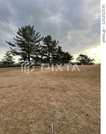 冬の公園の美しい夕景 冬の公園の美しい夕景 125252535
