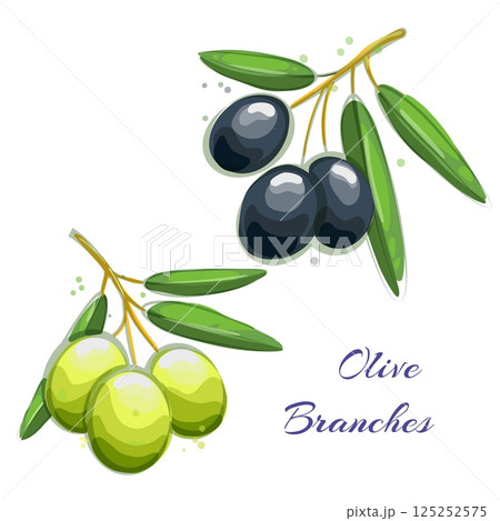 Olive branches watercolor sketch Olive branches watercolor sketch 125252575